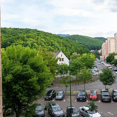 Metropolitan Wildscape View * Brasov