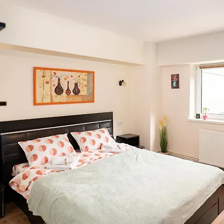 Metropolitan Wildscape View Apartment Brasov